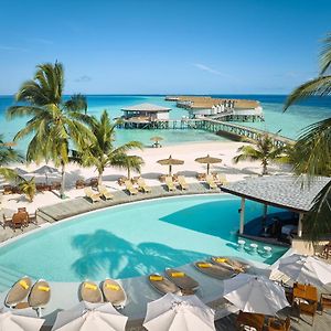 Centara Ras Fushi Resort & Spa - 50 Percent Discount On Transfers For Min 4 Nights Stay And More, Valid For Reservations Between 11Th Feb Till 22 Dec 2025 (Adults Only)